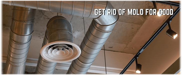 Air Duct Mold Removal in West Windsor NJ